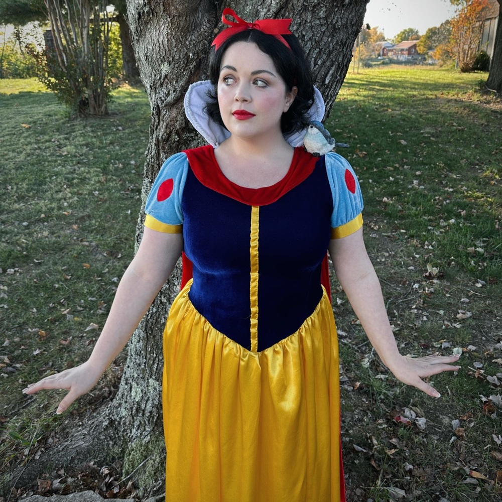 Snow White Costume - Womens